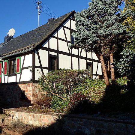 Vakantiehuis Hunsrueck Leisel Екстериор снимка