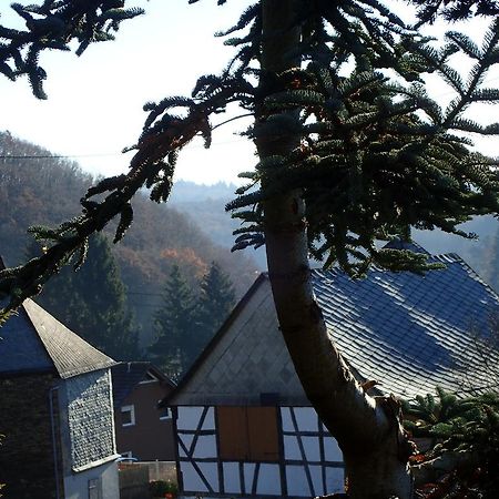 Vakantiehuis Hunsrueck Leisel Екстериор снимка
