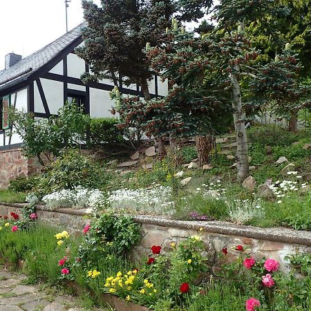 Vakantiehuis Hunsrueck Leisel Екстериор снимка