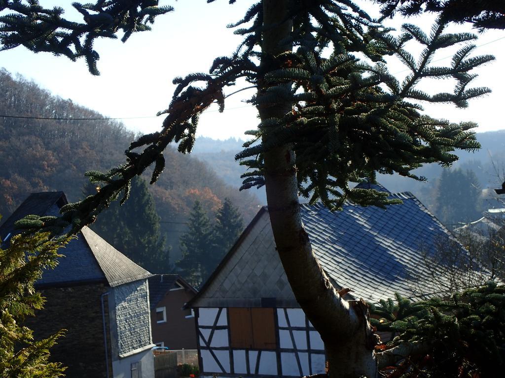 Vakantiehuis Hunsrueck Leisel Екстериор снимка