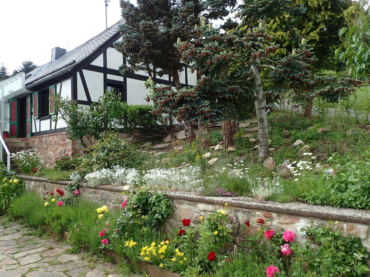 Vakantiehuis Hunsrueck Leisel Екстериор снимка